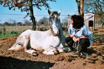 Garde d’animaux à votre domicile aux alentours d'Orvault