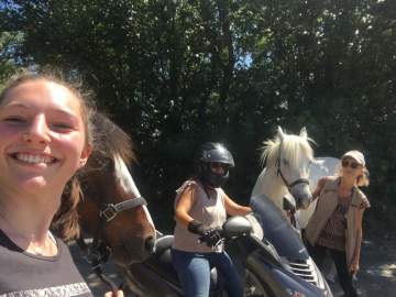 Les copains de poils et crins